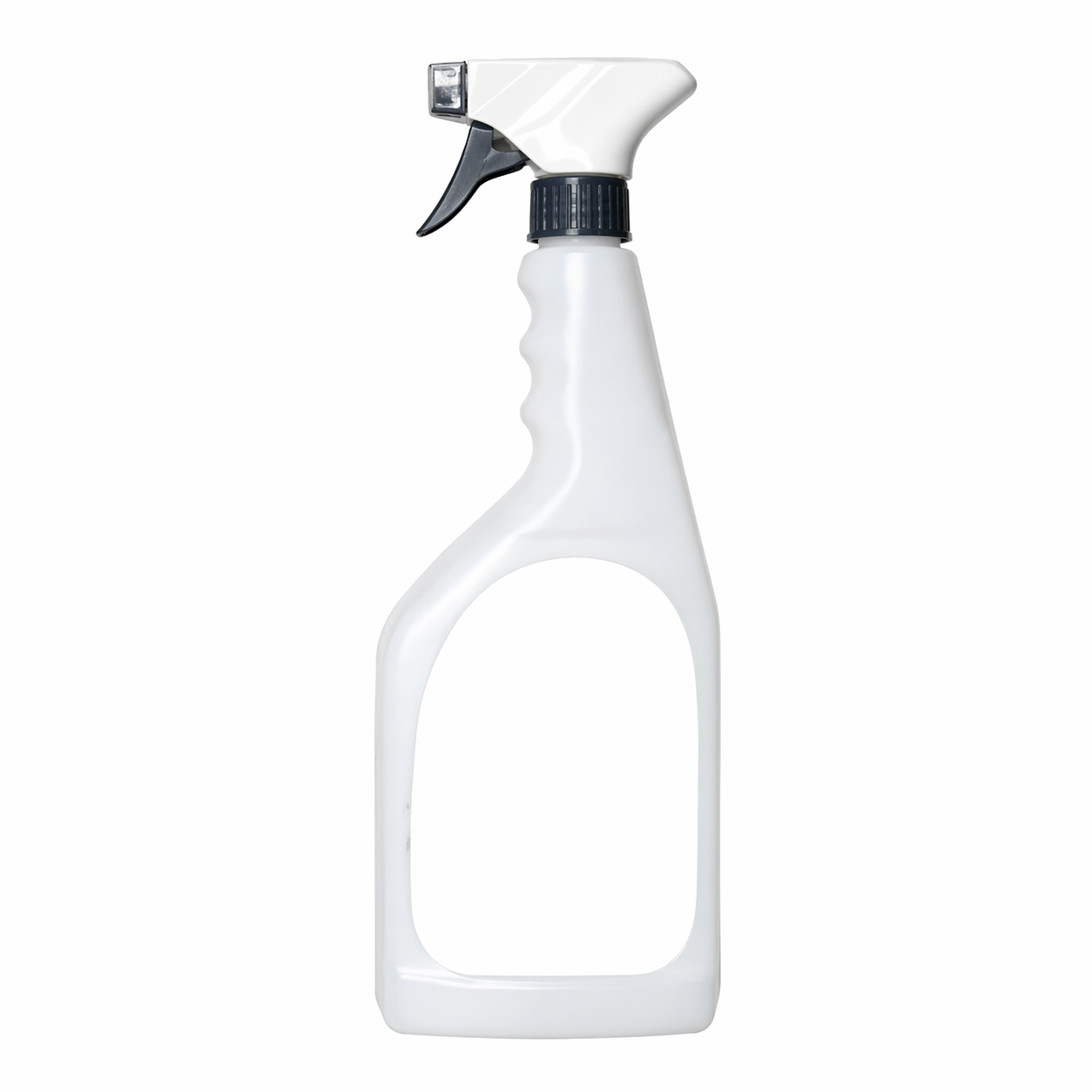 KIT BOTTIGLIE VUOTE CON SPRUZZATORE MIX SPC ML.750