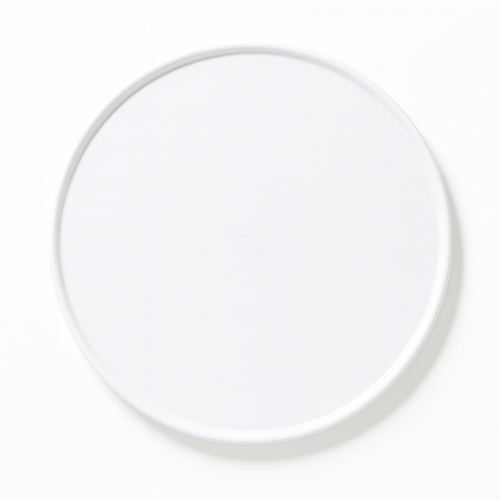 PIATTO ROTONDO PIZZA IN POLPA BIANCO CM.32 GR.38 CF.50 PZ.