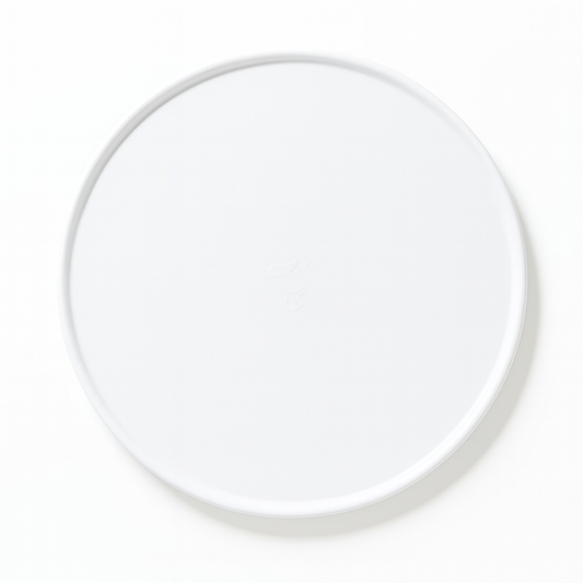 PIATTO ROTONDO PIZZA IN POLPA BIANCO CM.32 GR.38 CF.50 PZ.